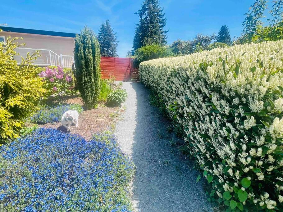 1200sft Spacious Seaview & Garden Surrounded Vacation Holiday home *